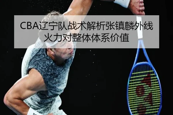 CBA辽宁队战术解析张镇麟外线火力对整体体系价值